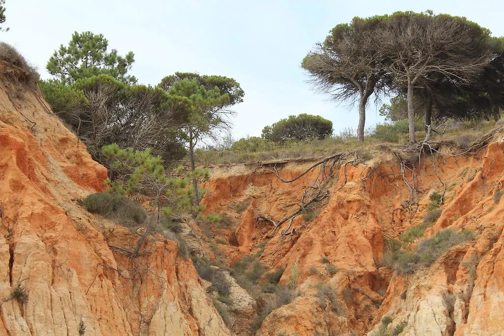 Apartamento Turistico Acoteias Apartman Albufeira